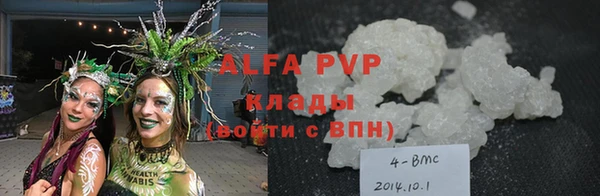 стаф Алексин