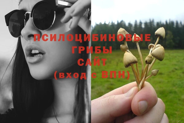 твердый Алапаевск