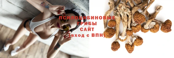амф Алексеевка
