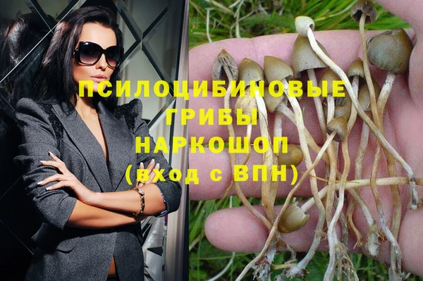 прущие крисы Вязьма