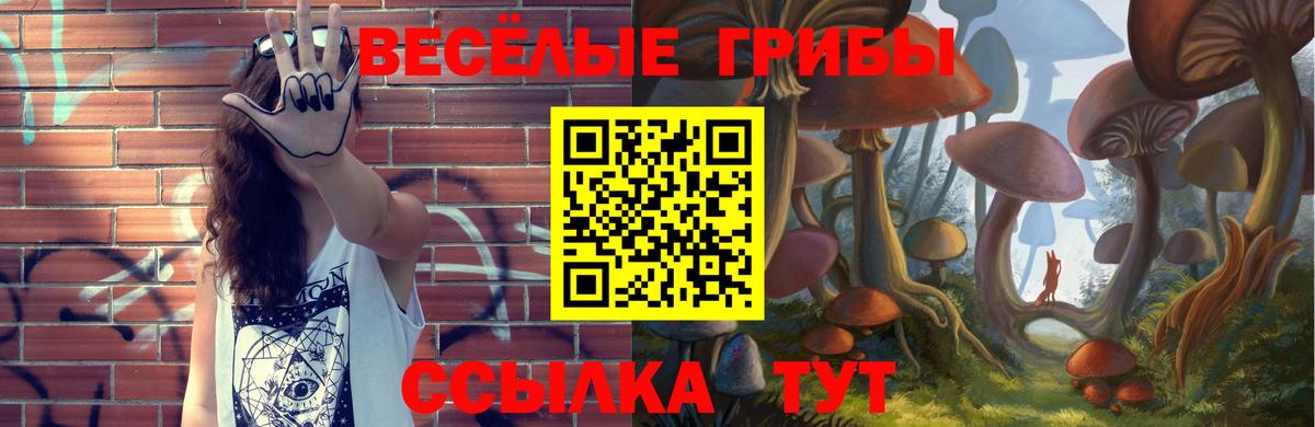 Северск  Псилоцибиновые грибы ЛСД  Галлюциногенные грибы Magic Shrooms  Вход с VPN 